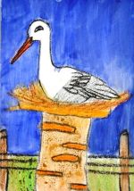 Poláková Barbora.jpg